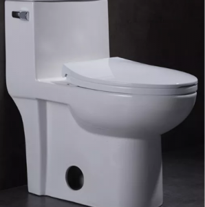 factory Outlets for Transport In Train -  Modern Western Elongate One Piece Toilet  – Orient Int\’l Logistics