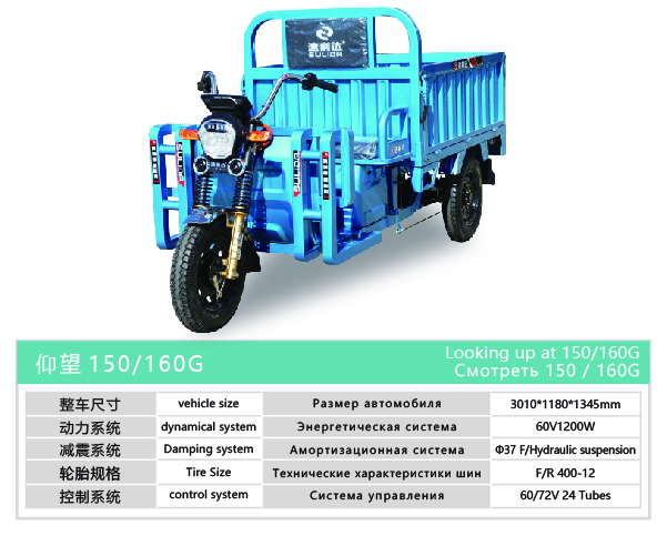 Looking Up at 150/160G Electric Cargo Tricycle - Blue Version